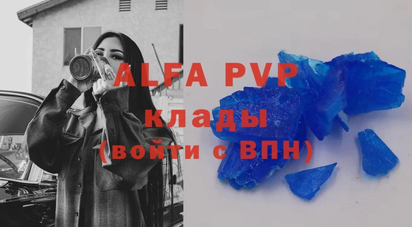 мяу мяу мука Баксан