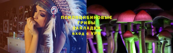мяу мяу мука Баксан