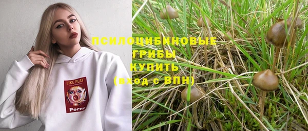 мяу мяу мука Баксан