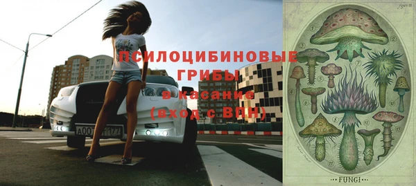дурь Балахна
